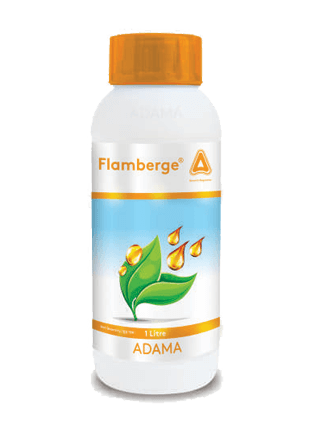 ADAMA Flamberge — plant growth regulators