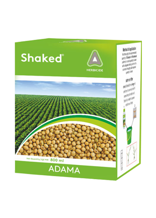 ADAMA Shaked product image