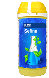 BASF Sefina product image
