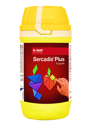 BASF Sercadis plus — fluxapyroxad 75 gl difenoconazole 50 gl sc