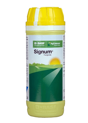 BASF Signum product image