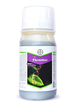 BAYER Ambition — plant growth regulators