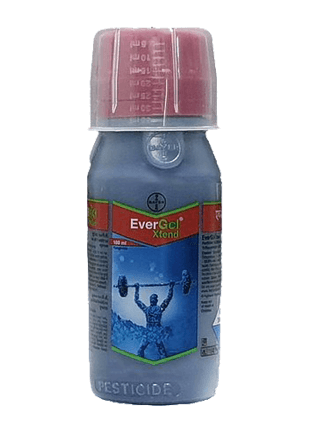 BAYER EverGol Xtend — penflufen 13 28 trifloxystrobin 13 28 fs