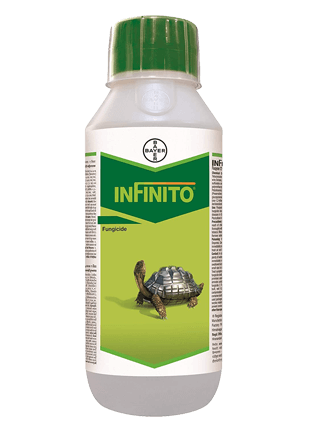 BAYER Infinito product image