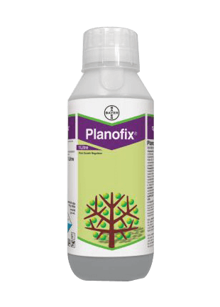 BAYER Planofix — alpha napthyl acetic acid 4 5 sl