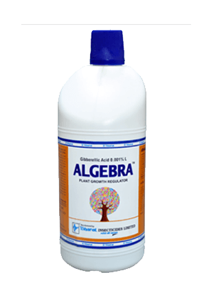 BHARAT Algebra product image