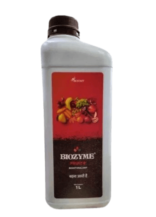 BIOSTADT Biozyme Fruit + Liquid — plant growth regulators