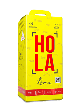 CRYSTAL Hola product image