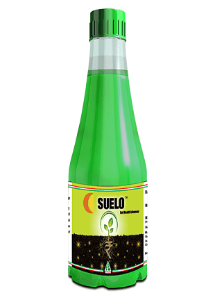 DHANUKA Suelo — plant growth regulators