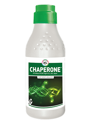 IIL Chaperone — plant growth regulators