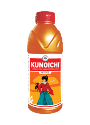 IIL Kunoichi product image