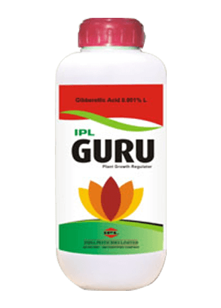 IPL IPL Guru product image