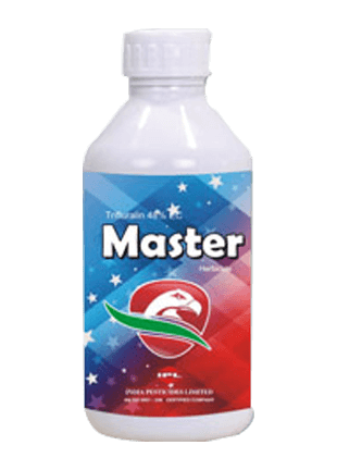 IPL Master product image