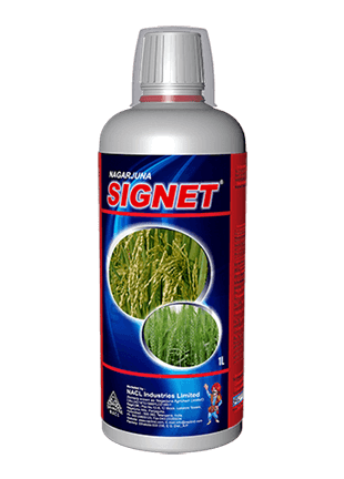 NACL Signet product image