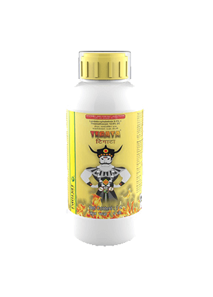 PARIJAT TEGATA — lambda cyhalothrin 9 5 thiamethoxam 12 6 zc