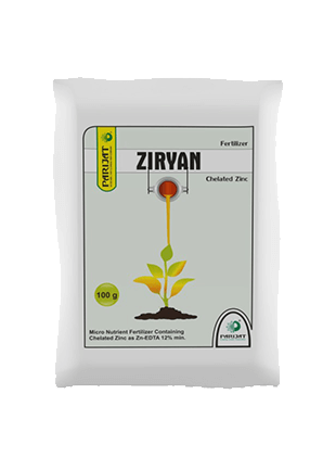 PARIJAT ZIRYAN — zinc edta 12