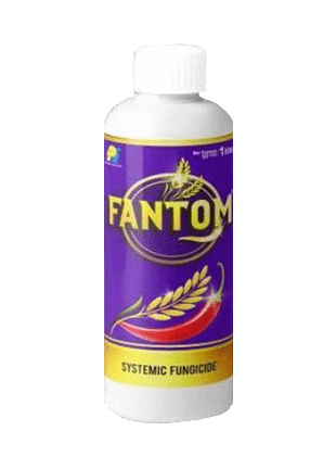 PI Fantom product image