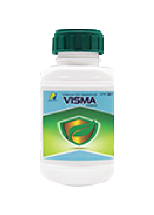 PI Visma product image