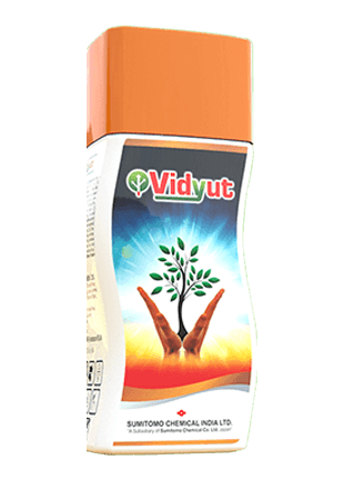SUMITOMO Vidyut — paclobutrazole 40 sc