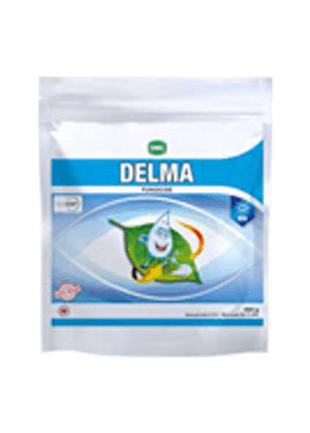 SWAL Delma product image