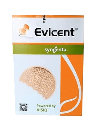 SYNGENTA Evicent product image